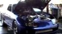 Beasts Supras Compilation