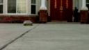 Rc driftovacie auta Cool video
