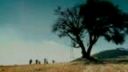 RBD - Celestial