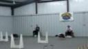 Ace Flyball alebo nebezpečná rýchlosť : - )