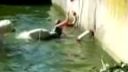 Spestrenie dňa v zoo