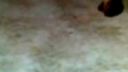 Metin 2