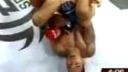 Fedor Jemelianenko vs Fabricio Werdum
