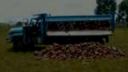 Tatra 148 v angole