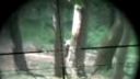 Airsoft sniper