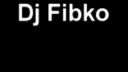 Fibkov Summer Mix