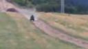 Atv Suzuki eiger