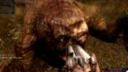 STALKER The peaceful ending