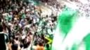 Panathinaikos FANS