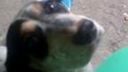 Beny