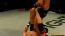 Bodog Fight