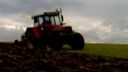 Orba pred sejbou jeseň 2010