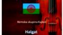 Rómska hudba IX.