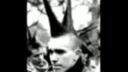Morčata na útěku demonstračni