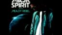 Majk Spirit - Zhulit