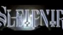 Sleipnir - Mein Bester Kamerad