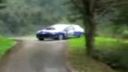 Rally nehoda - strom