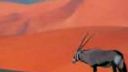 Štáty Zeme : Maroko a Západná Sahara