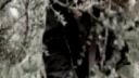 Band of Brothers - Nightwish Amarant