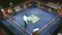Kyokushin vs kung fu sanda
