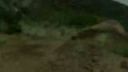 Motocross