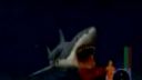 Jaws Unleashed - Pc video hra