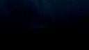 Mega žralok vs. Chobotnica trailer