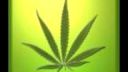 Marihuana