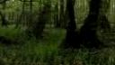 Slovensko - Prírodný klenot (2007) 1/2