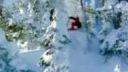 The Art of Flight
