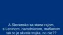 Slovenská politika - song