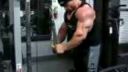 Branch Warren - Ramená, triceps