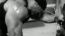 Muscletech Anabolic Halo Pro Series