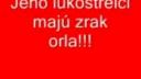 Dk - hráč Gerlin