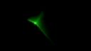 Laser Show od Dj Bagan