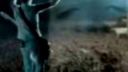 Placebo - Black - Eyed