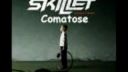 SKILLET COMATOSE