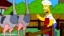 Homer a pštros