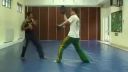 Capoeira Espiro Mirrim