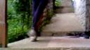 DnB SteP 6
