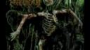 Carnal Disfigurement - Butchered Maggoty Face