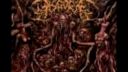Visceral Disgorge - Maggot Infested Fuck Hole