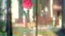 Salto 2