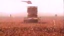 Metallica - Enter Sandman