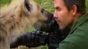 video Človek a divé hyeny