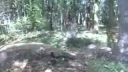 Skoky na bicykli
