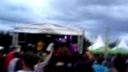 BeeFree 2011 - 3