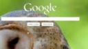 Google - zmena pozadia