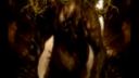 GASTRORREXIS  - Rotten Humanity
