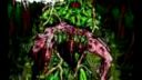 Splatterhouse - In The Swamps You Rot